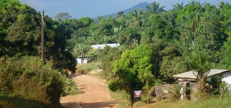layerbg1